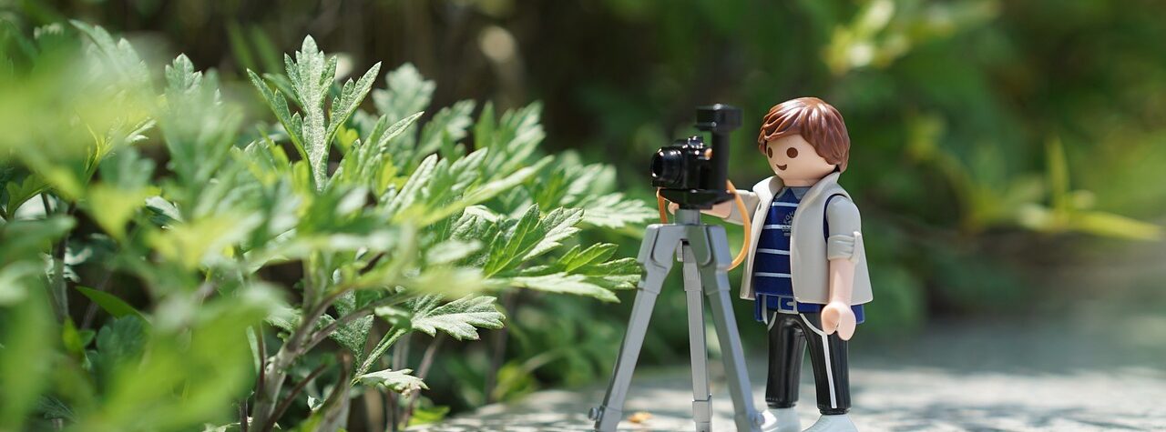 Choosing A Photographer for Your Event.